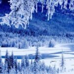 15. top1体育下载的用户指南:从注册到使用全攻略 6o96wc5l