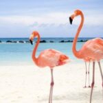 征途国际娱乐:探索全新娱乐体验的最佳选择 8947k4nnc7