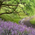 2. top1体育下载:让你畅享体育赛事的最佳选择 c68selerl