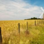 探索非凡娱乐官网的独特游戏体验与魅力 ffofj3