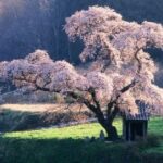 征途国际H5的成就系统,收集成就点亮人生 rkjth6