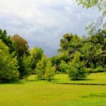 17. 如何利用top1体育下载提升你的观赛体验? wwxwbdg